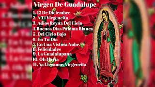 Cantos a la Virgen de Guadalupe
