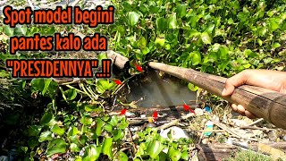 PANTES KALO ADA PRESIDENNYA ‼️ SPOTNYA SEPERTI INI BENTUKNYA || mancing ikan red devil NAHOL MANIA