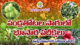 పండ్ల తోటల సాగులో భూసార పరీక్షలు మట్టి నమూనా సేకరణ ఎలా ?  | Rythunestham