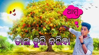 ଖରାବେଳେ ଆମ୍ବ ଚୁରିକଲୁ  🤫ଗଛରେ ଆମ୍ବ ଫୁଲୁ 😱😱? Kharabele ambo chorikalu 🤪 enjoy the full video 👌❤️…￼