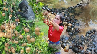 Women with monkey found longan with snails for cook - Eating delicious