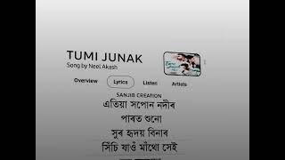 Tumi Junak💫- status video | Neel Akash 🔥 | New Song | New Assamese WhatsApp Status |