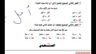 شرح اسم الفاعل - - 2025