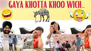 Punjabi Reaction On Donkey Vs Goat Funny Video😂 ll Gaya Khotta Khoo Wich #SajjadJaniOfficial #PBR