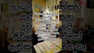 ඔයා කොයිතරම් දේවල් අතැරලා ඇත්ද? #trendingshorts #motivation #billionarethoght #trendingvideo 😟