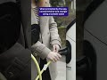 How to charge an EV (using the Octopus Electroverse app)