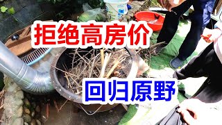 面对高房价退休夫妻买房车荒野安家，砍柴生火回归田园