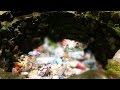 Sumaguing Cave in Sagada now polluted with trash from tourists | Investigative Documentaries