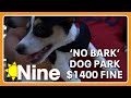 Dog park wants to put a ban on barking | The Nine