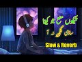 teko mana jo keta sadi gali na aa slow and reverb mehfil song slow and reverb new version