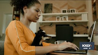 Tips From Consumer Reports To Avoid Pet Scams
