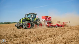 🟢2023 CLAAS Axion 960TT + Pöttinger Terrasem V9000, sejba repky olejnej