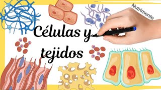 CÉLULAS y TEJIDOS