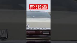 【名車紹介】ハンドルを握ると父を思い出す セドリック430 5MT！ #shorts