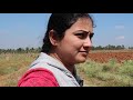 kannada vlogs village vlog ನಮ್ಮ ಹಳ್ಳಿಯಲ್ಲಿ ರಾಗಿ ರಾಶಿ ಪೂಜೆ ವಿಲಾಗ್ ಹಳ್ಳಿ ಪರಿಸರ