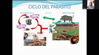Charla Interinstitucional de elaboración de productos de cerdo libres de triquinelosis en Junín