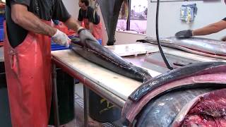 Bubba's Stiff and Flex Fillet Knives vs. Giant Tuna and Wahoo | Pros in Action