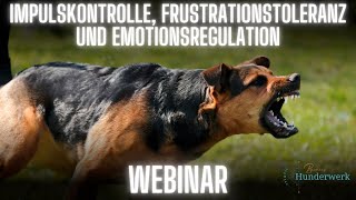 Ausschnitt aus dem Webinar: Impulskontrolle, Frustrationstoleranz und Emotionsregulation