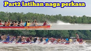 Part2 latihan naga parkasa,pulang langsung diistirahatkan di kediaman naga sakti