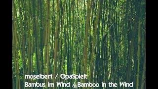 Bambus im Wind / Bamboo in the Wind