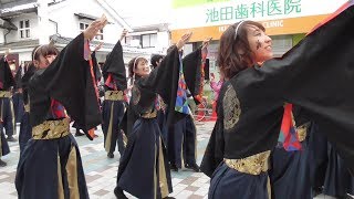 有閑踊り子一座 飛舞人(ひまびと) 兵庫町商店街パレード ２日目 YOSAKOI高松祭り 2019