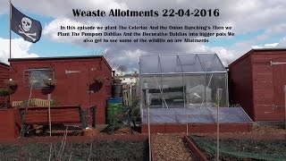 Weaste Allotments 22-04-2016