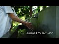 藤垈の滝（山梨紹介）（のんびり系動画）