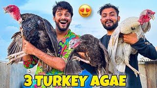 ALHAMDULILLAH 17 HAZAR K TURKEY LELIE 😍 | UNCLE GHUSSA HOGAE