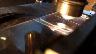 Testing Antique Baush \u0026 Lomb Microscope. Video #1