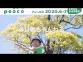 山口県防府市　メバル公園で遊ぶ