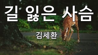 길 잃은 사슴 김세환