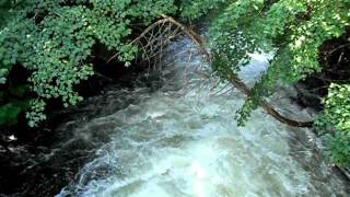 Eels Lake Runs Into Eels Creek When Logs Are Removed from the Dam