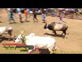 etss s.s kottai virattumaadu jallikattu 10.06.2018