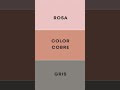 4 ejemplos de paleta de color monocromática en tu marca y restaurante #branding #interiordesign