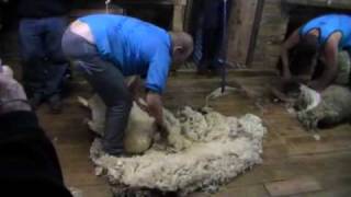 Blade shearing