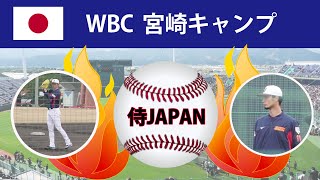 2023年 侍ジャパン宮崎キャンプへの旅｜ビデオムービー（フルHD）総集編①｜佐々木朗希、ダルビッシュ有、大勢など｜2月23日