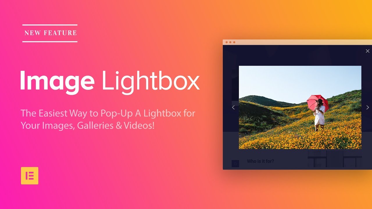 Introducing Image Gallery Lightbox Easily Pop Up Images On Wordpress