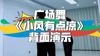 广场舞《小风有点凉》背面演示