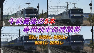 2022/02/26 お子さんもよく分かる「桃太郎」キャラ桃効果? 午前最後の貨物列車5本 大谷川踏切