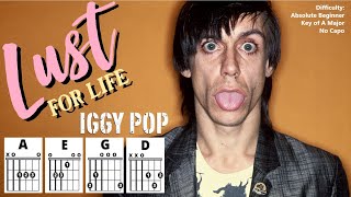 LUST FOR LIFE {NO CAPO} by Iggy Pop (Absolute Beginner Guitar Chord \u0026 Strum Play-Along w/ Lyrics)