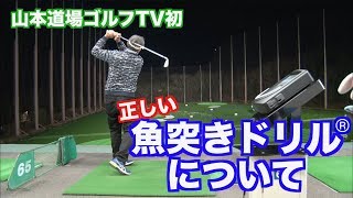 【お待たせ！！】山本道場ゴルフTV初！これが魚突きドリルの詳細だ👍①