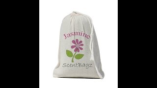 ScentBagz Air Freshener - air freshener dispensers