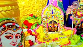 BEAUTIFUL DARSHAN OF SRI RADHASHYAMSUNDAR DEV JI. SRI RADHASHYAMSUNDAR TEMPLE, SEVAKUNJ, VRINDAVAN