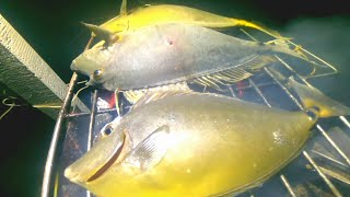 ep.403 Dayo Day2 | Day and Night Spearfishing | Grabe sa mga Huli | Catch and Cook sa gitna ng Laot