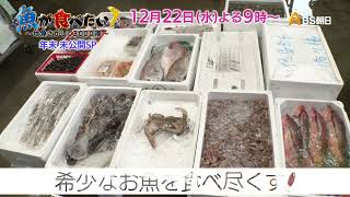 魚が食べたい！－地魚さがして３０００港－