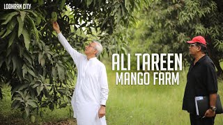 Lodhran To Jahangir Khan Tareen Mango Farm #Mango