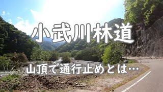 【山梨】【林道】【クロスカブ】小武川林道