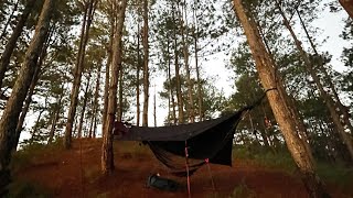 11°C sa Camp Utopia - Hammock Camping