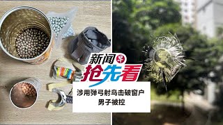 【新闻抢先看】涉用弹弓射鸟击破窗户 男子被控