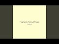 Fragments Tranquil Fragile